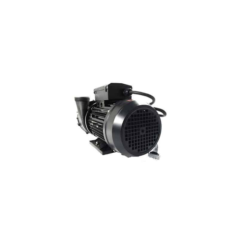 LX WP300-II Dual Speed 3.0HP Pump For Sale